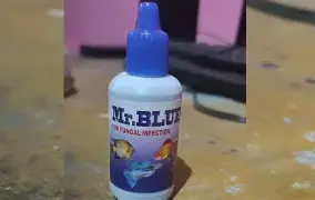 Mr. Blue Aquarium Fish Medicine for Fungal Infection, White Spot & External Disease Treatment