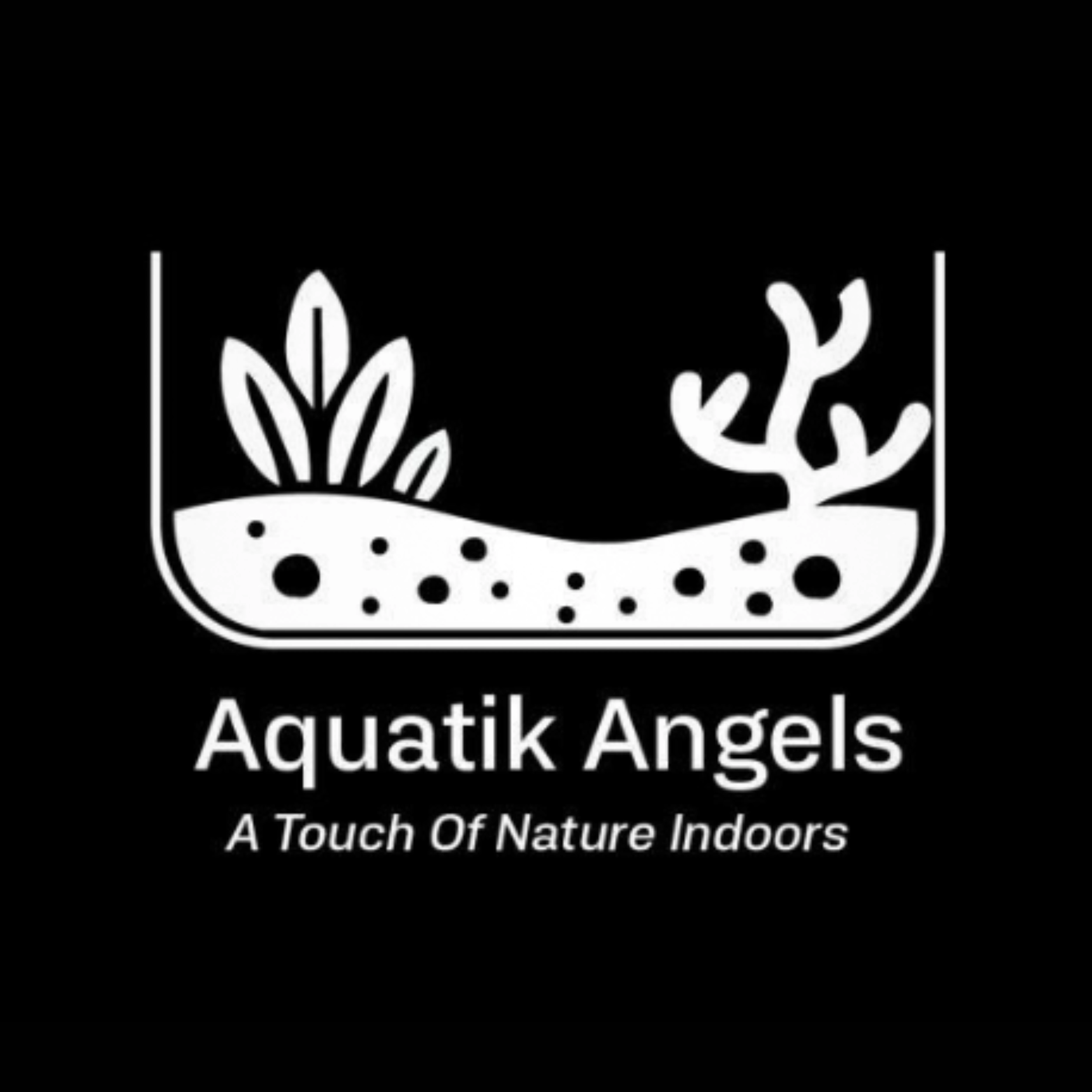 Healthy crystal clear freshwater planted aquarium with aquatic plants and fish