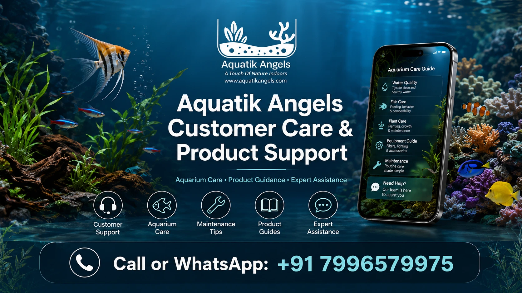 Freshwater planted aquarium setup for beginners with healthy fish and aquatic plants